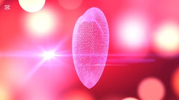 Thumbnail of Henree feat Ella- Where Did Your Heart Go?