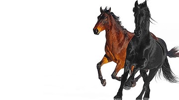 Thumbnail of Lil Nas X - Old Town Road (feat. Billy Ray Cyrus) [Remix]