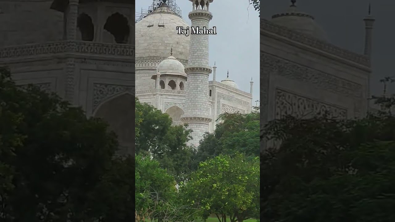 Taj Mahal (Suno Na Sangamarmar) #song #singer #bollywood #arijitsingh #music #viral