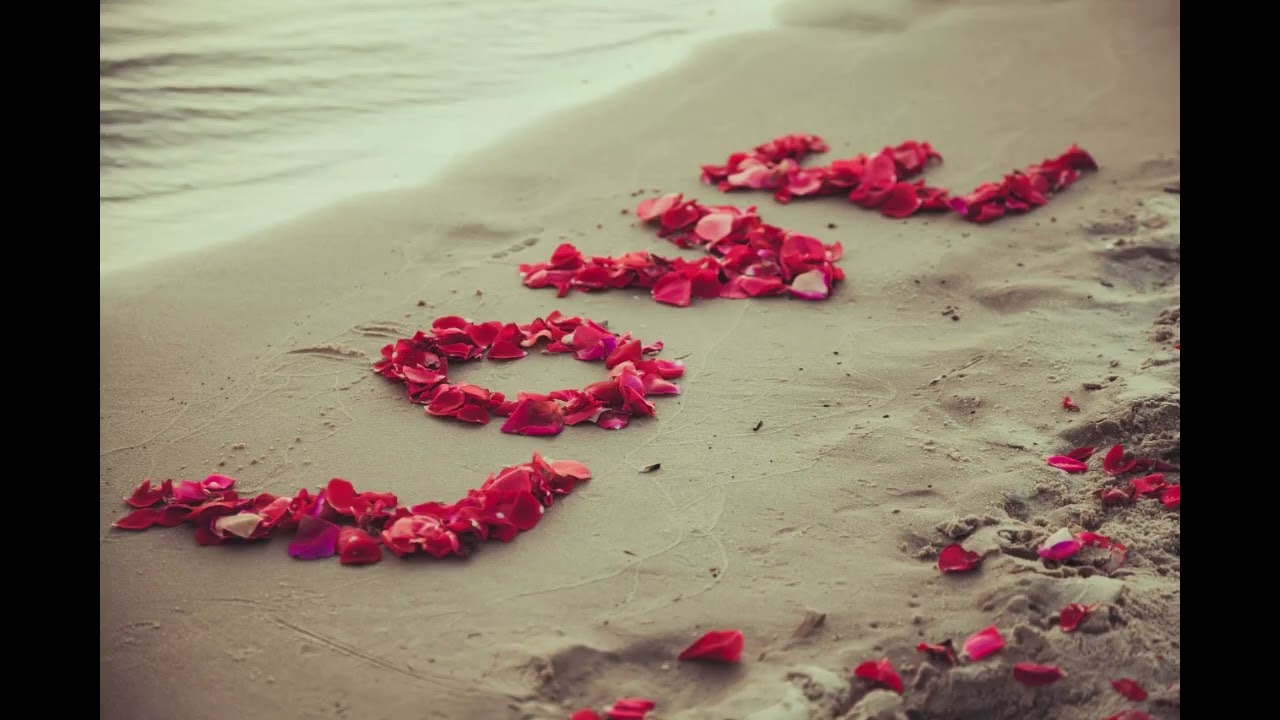 Золотые барханы