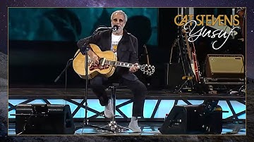 Thumbnail of Yusuf / Cat Stevens – Viña Del Mar Festival, Chile 2015 (Full Concert)
