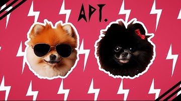Thumbnail of ROSÉ & Bruno Mars - APT. (Dog Version)