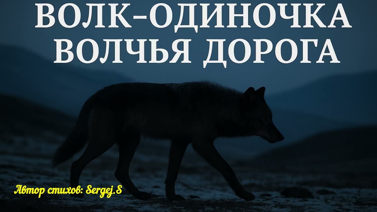 Волчья Дорога 🐺 Песня о пути одиночки