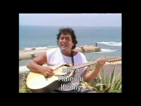 Halevai הלוואי If only  I wish English + Hebrew Lyrics Subtitles + Transliteration