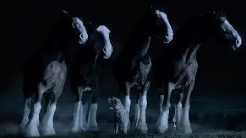 Thumbnail of Passenger ~ Let Her Go