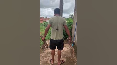 Thumbnail of Large Spider Crawls on Brother After Picking Cassava || ViralHog