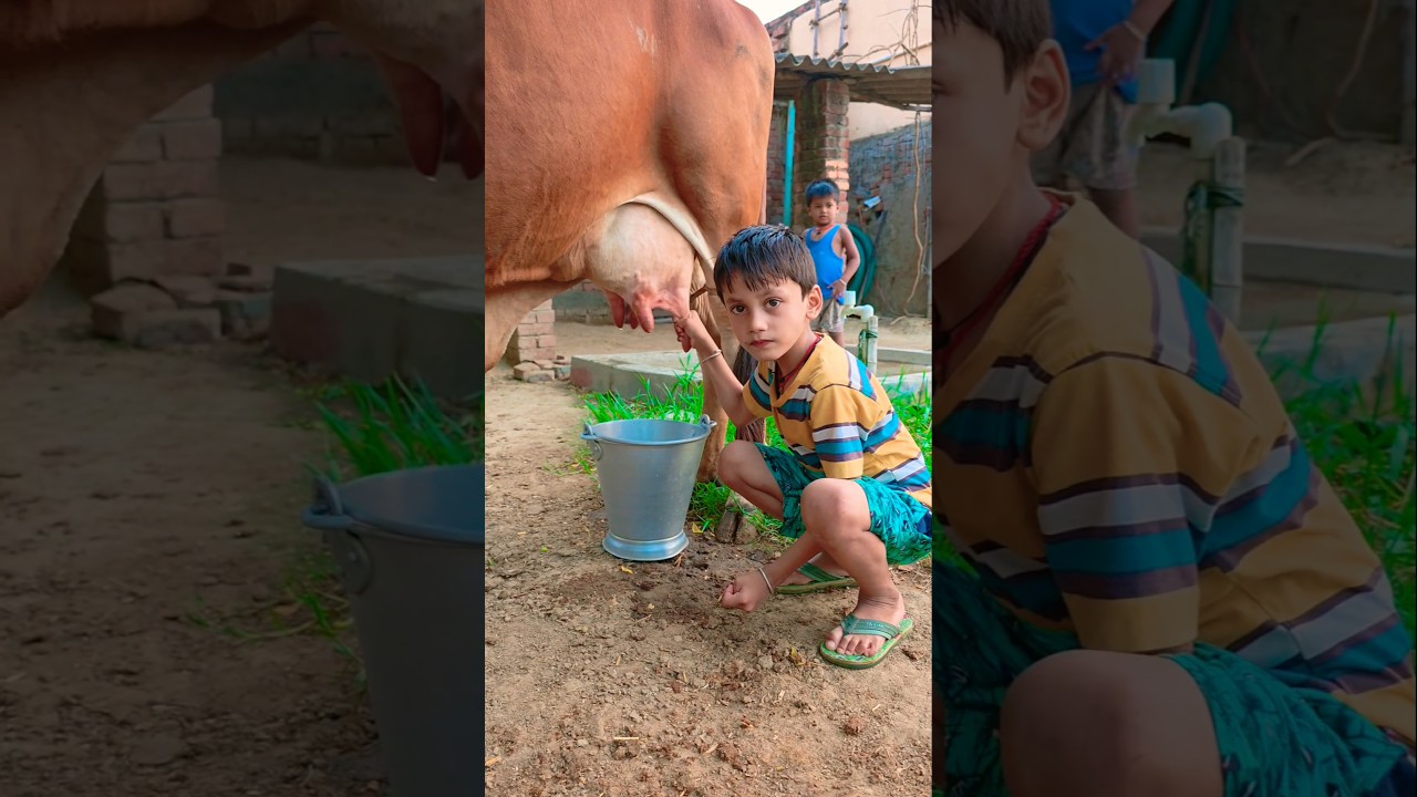 Thumbnail of small girl rrfgdd #love #song #funny