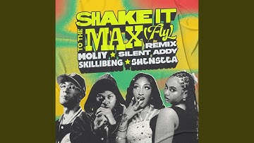 Thumbnail of Shake It To The Max (FLY) (Remix)