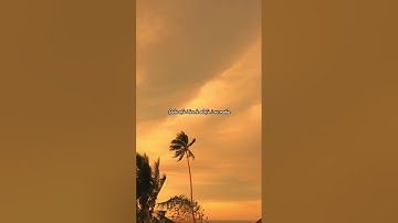 Thumbnail of THERESA – MEO (Romeo Sabbath) | Samoan Parody Cover of ‘3 Daqat’ | Produced by @peniboy03