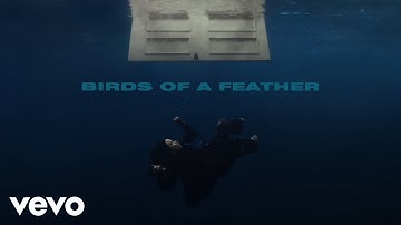 Thumbnail of Billie Eilish - BIRDS OF A FEATHER (Official Lyric Video)