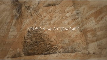 Thumbnail of Morgan Wallen - What I Want (feat. Tate McRae) (Lyric Video)