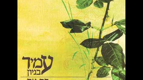 Thumbnail of עמיר בניון רק את Amir Benayoun