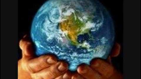 Thumbnail of Wild World - Cat Stevens