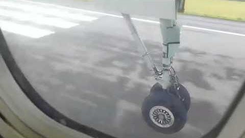 Thumbnail of Landing Gear vs Runway Deer