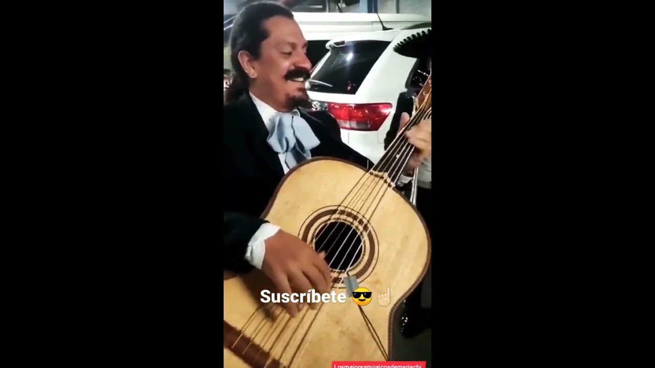 Thumbnail of Cuando el Mariachi toca la de Mario Bros (Guitarron) 😎