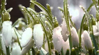 Владимир Захаров и Аня Воробей- Встреча