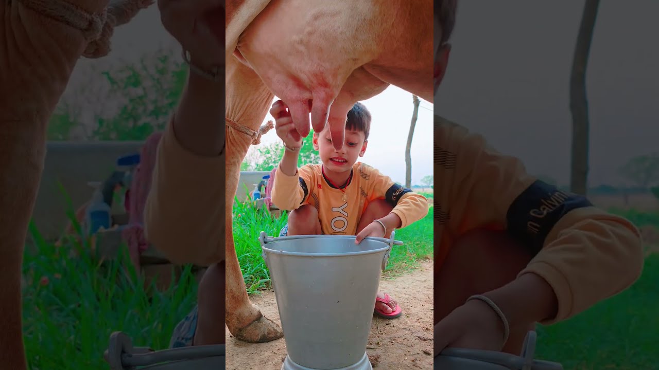 Thumbnail of choti choti gaiya fuefgb #love #song #funny